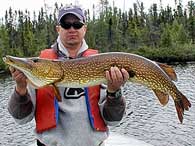 Huge fish for sport